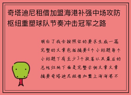 奇塔迪尼租借加盟海港补强中场攻防枢纽重塑球队节奏冲击冠军之路